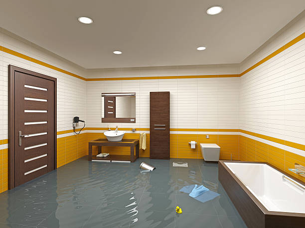 Best Residential Water Damage Restoration in Kenyon, MN